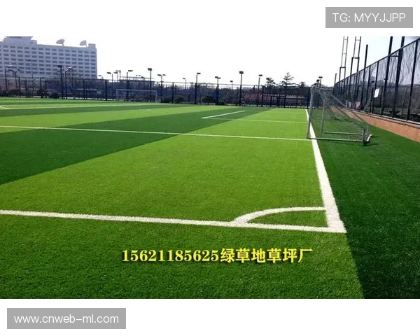 德甲球场草皮维护技术升级，地热系统抗严寒