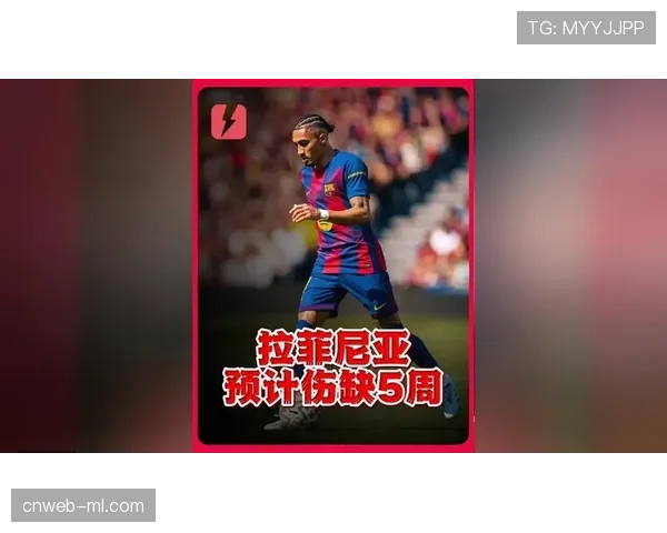 尼斯vs勒阿弗尔伤病名单：尼斯6人伤缺，勒阿弗尔3人缺席